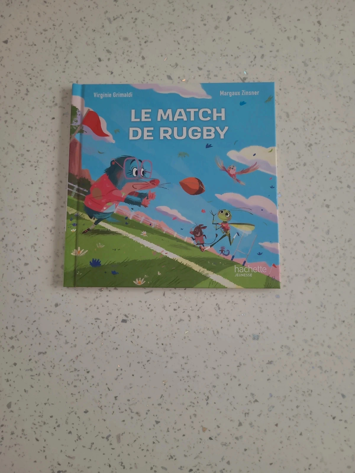Livre Mcdo Le match de Rugby